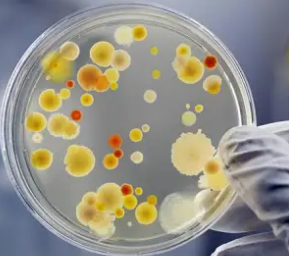 BioHazard fee - Nature Maid Total Home Services