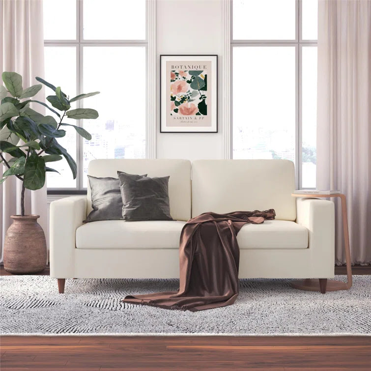 Loveseat Cleaning (with removable cushions) - Nature Maid Total Home Services